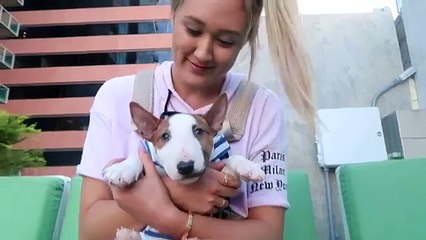 PUPPYS FIRST ADVENTURE