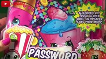 SHOPKINS Password Diary MAGIC Pen Secret Notebook Electronic Key Plays Music Toy Video Little Wishes