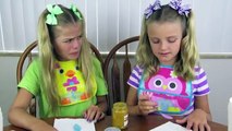 Baby Food Challenge ~ Jacy and Kacy