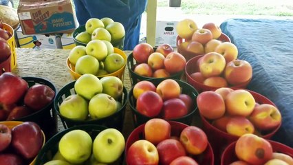 NO RV Boondocking In Cherokee NC. Flea Market Finds