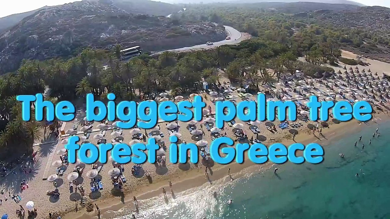 VAI palm tree forest - ΒΑΙ Φοινικόδασος Σητεια