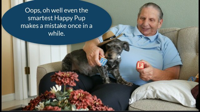 F Troop or Hogans Heroes Does Happy Pup Know the Answers