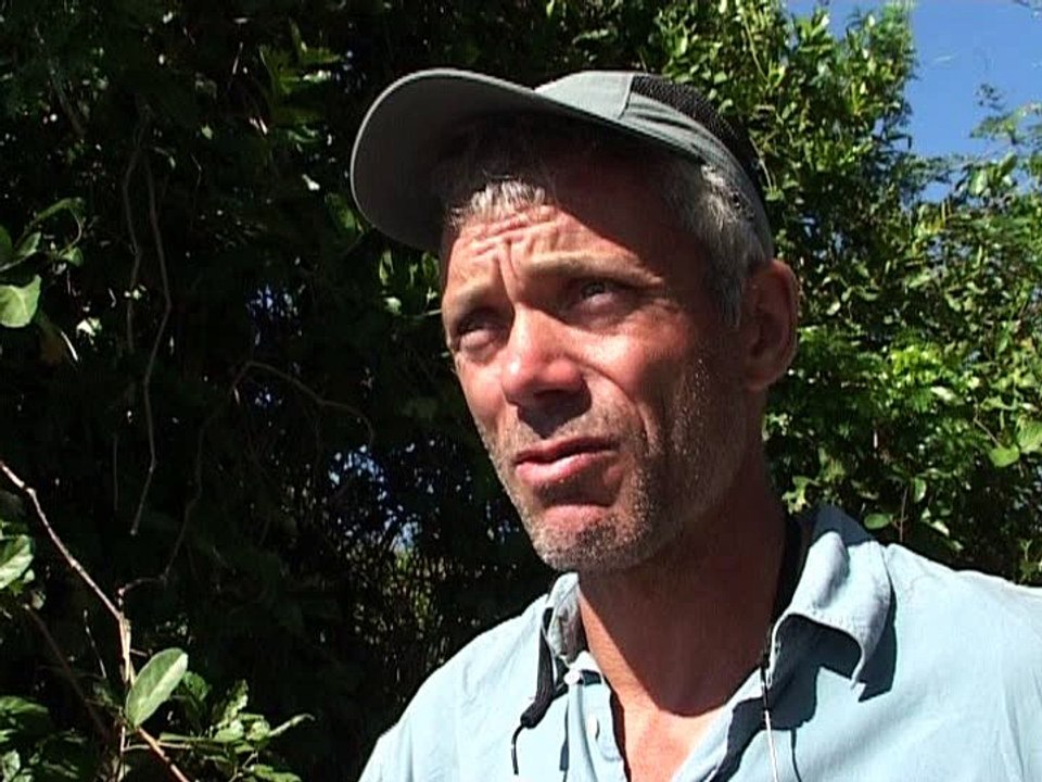 Jungle Hooks S01E05 End of the Line