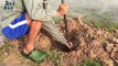 Amazing Hole Trap - Smart Man Make Road Fish to Catch Fish In Deep Hole