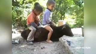 Indian Funny Videos Latest Whatsapp Funny Videos India 2017  by best funny for you