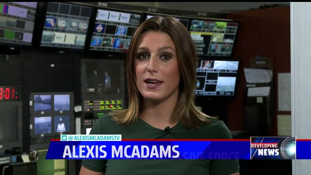 Indianapolis Woman Sues Police Department, Sheriff`s Office Claiming Excessive Use of Force