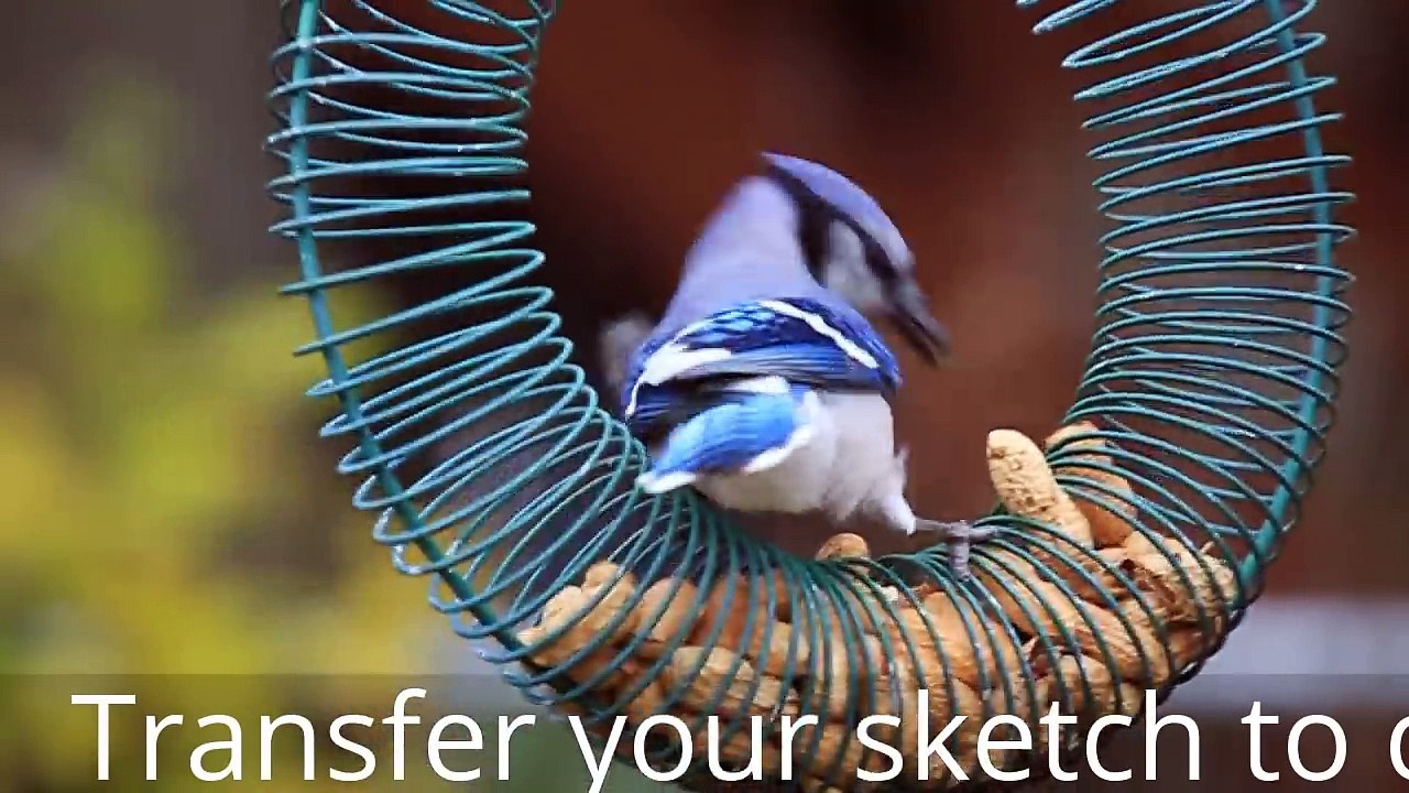 How to TRANSFER your SKETCH to canvas for painting Acrylic Painting tutorials for beginners