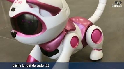 Teksta Kitty Le chaton robotique - Démo en français