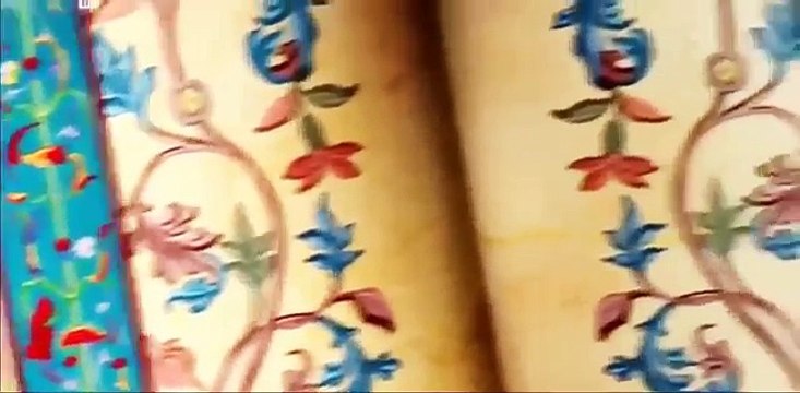 Documentary Ant [Discovery Animals Documentary] War of Insects Nat Geo Wild Animals