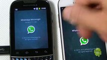 Whatsapp - Dicas e Truques (#01 - Os Tiques)