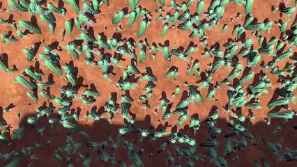 You Dont Bring Me Flowers (Jungle Beat Season 2)