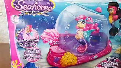 MY MAGICAL SEAHORSE Water Wonderland!!