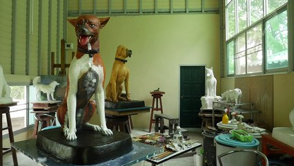 Riesige Hunde für Bhumibols Scheiterhaufen