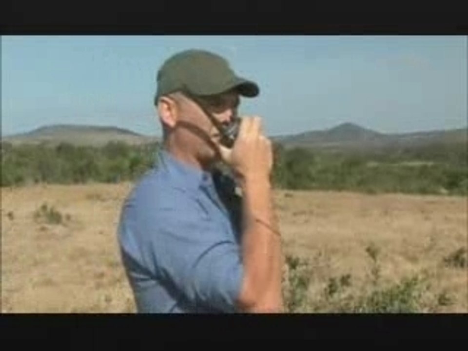 NATURE | The Cheetah Orphans | Preview | PBS