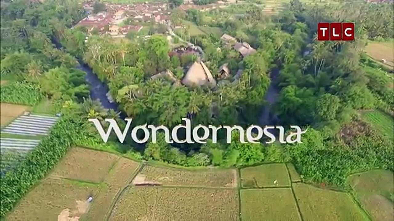 EP7 Lukes Vlog: Modern Cuisine Local Produce | WONDERNESIA