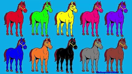 Horse Colors Songs Collection | Horse Colorful Color Song For Children Rhymes The Surprise For Kids