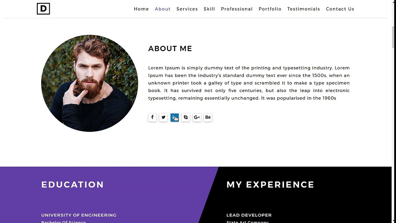 David-Root - Web Designer Portfolio Website Template | ThemeVault