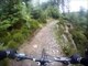 Mabie forest Mountain Biking - Phoenix Red Trail Best bits HD