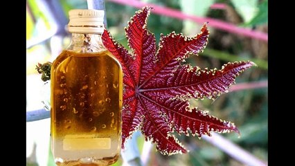 ТОП трав и масел для домашнего ухода за ресницами