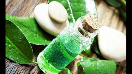 Эфирное масло чайного дерева во всех проявлениях