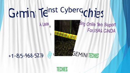 Gemini Techies - Get Instant Online Tech Support