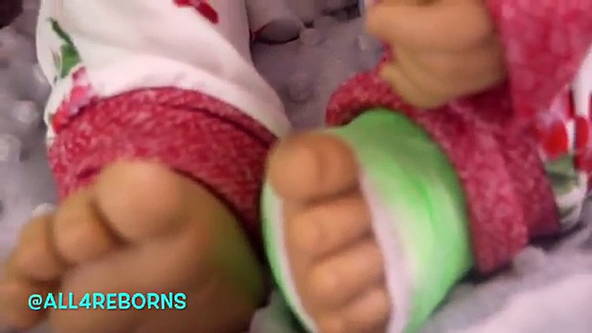 all4reborns winter for sale