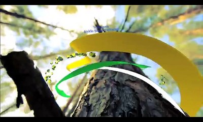 İşler Güçler - 41/1