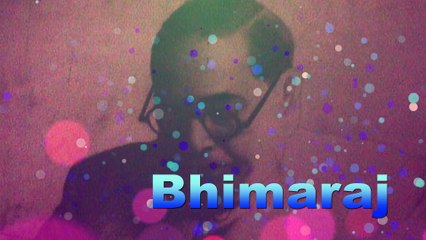 bhimraaj || bhim geet 2017 || marathi bhimgeet
