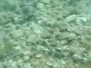 Immersione lago