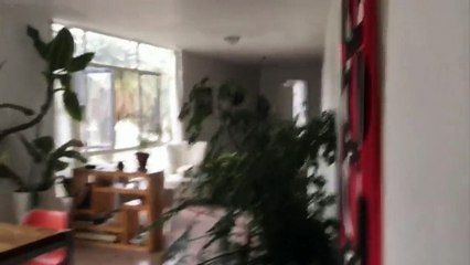 Un séisme de magnitude 7,1 secoue le Mexique