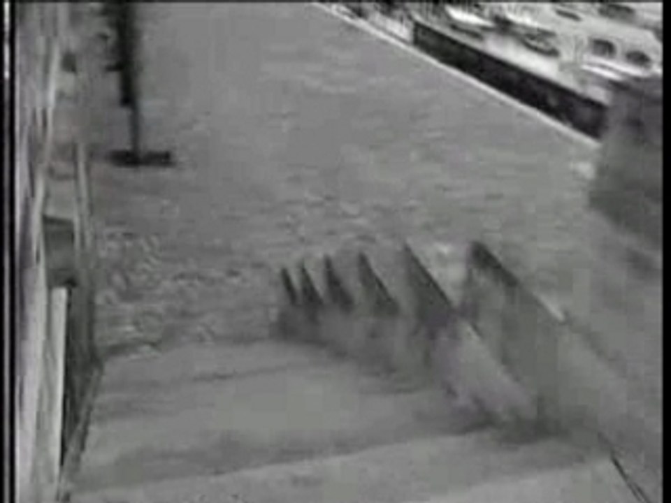 Nés Sous La Même Etoile