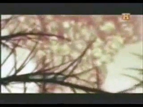 GRANDES ENIGMAS - EL EVENTO DE TUNGUSKA - SIBERIA (30-06-1908) - PARTE 1