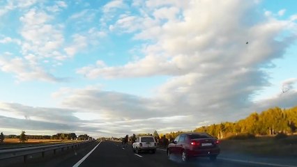 Des chevaux sur la route provoquent un accident