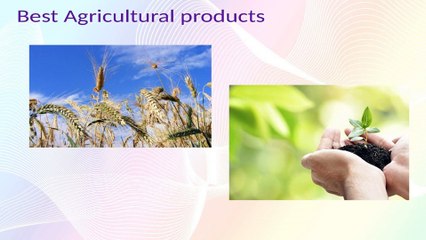 Pepagora is the best way to promote business