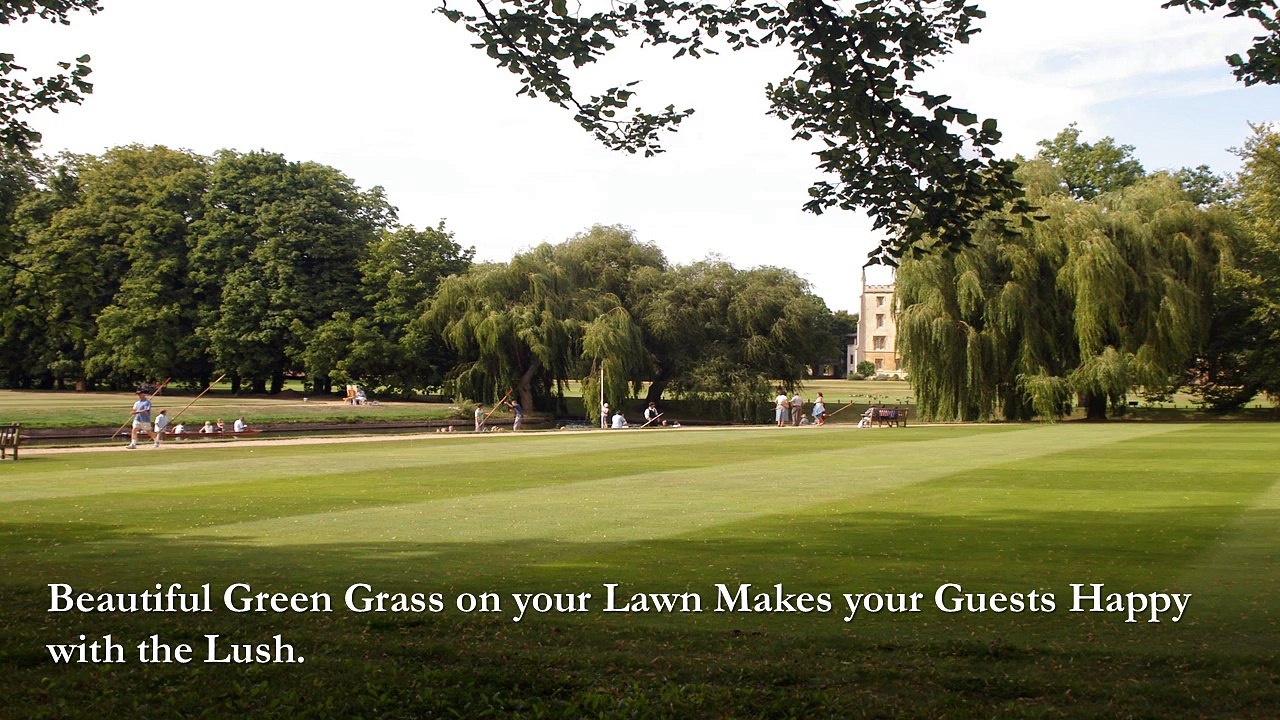 Green Grass Paint