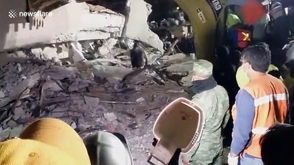 Dogs help quake rescue efforts in Mexico City