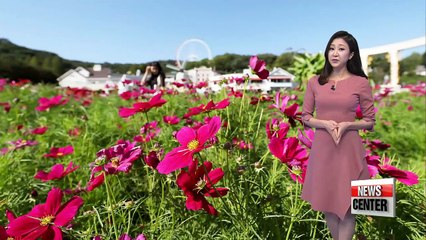 Chilly mornings, nice sunny skies during the day _ 092017