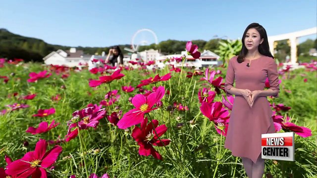 Chilly mornings, nice sunny skies during the day _ 092017