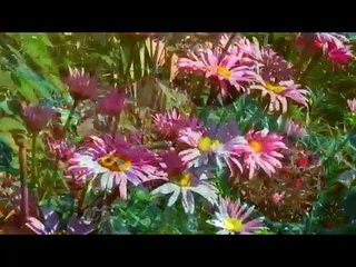 chana tova et nehila de kippour