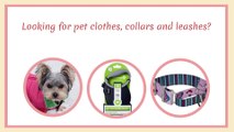 Pet Clothes & Accessories In San Antonio, TX