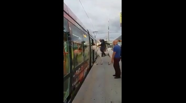 A Montpellier un homme monte avec son cheval dans un tramway.