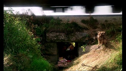 Ma vie de chien Bande-annonce