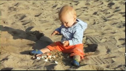 Your Baby Can Discover - Volume 1 - Sample 2 - Flower and Counting Song