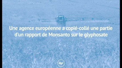 Une agence européenne a copié-collé une partie d'un rapport de Monsanto sur le glyphosate