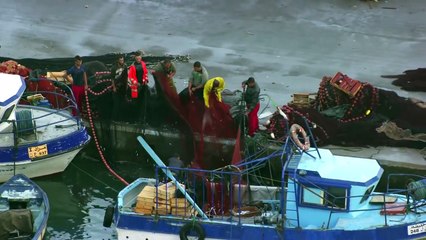 L'Algérie vue du ciel