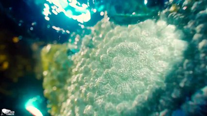 Ant Man | Kuantum Diyarı | Sonsuza Kadar Küçülme | Klip (11/12) | HD