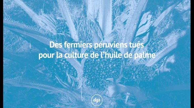 Des fermiers péruviens tués pour la culture de l'huile de palme