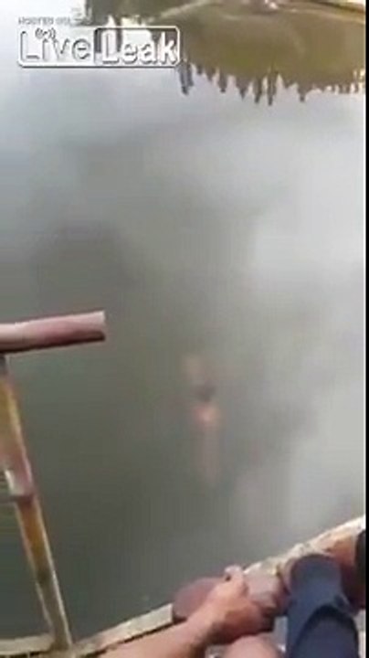 หมอผีโดนจระเข้กิน shaman crocodile eat