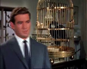 "Compression The Birds d'Alfred Hitchcock" (2016) de Gérard Courant