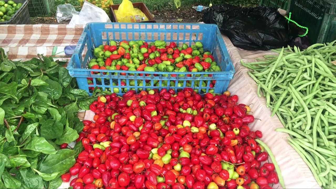20170322 - SUJET -MARCHÉ SOLIDAIRE AGRICULTEURS